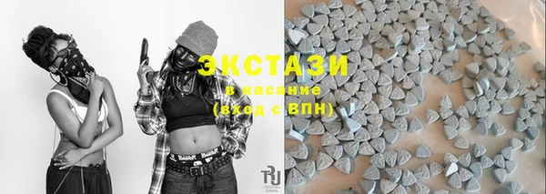 гидра Инсар