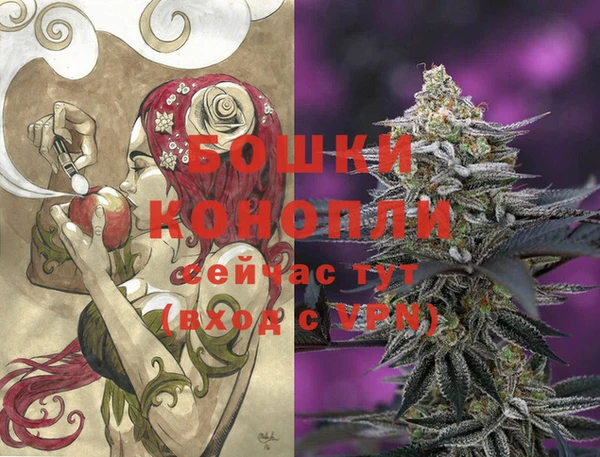 мет Инта
