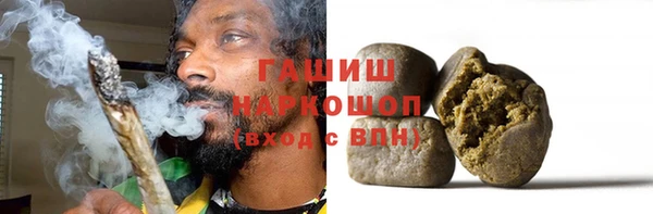 мет Инта