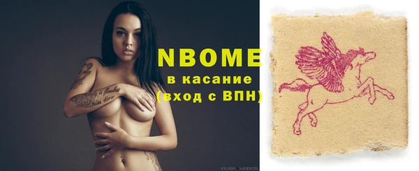 гидра Инсар