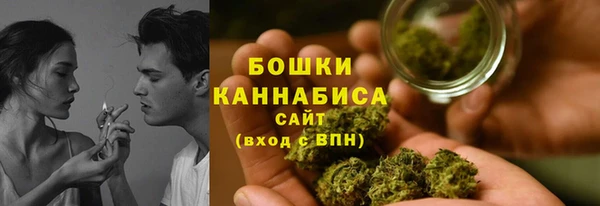 гидра Инсар