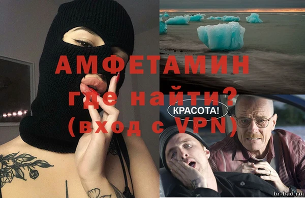 гидра Инсар
