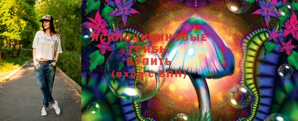 мет Инта