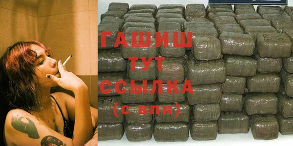 мет Инта