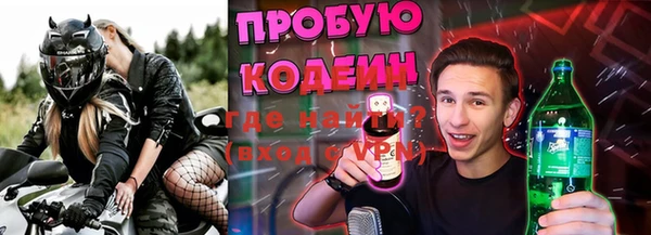 гидра Инсар