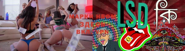 стаф Зеленокумск