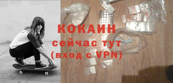 мет Инта