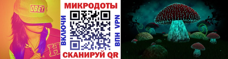 Псилоцибиновые грибы Psilocybe  Купить  Красноуфимск 