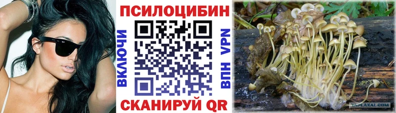 Галлюциногенные грибы Psilocybine cubensis Красноуфимск